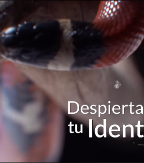 Los colores de la natrualeza