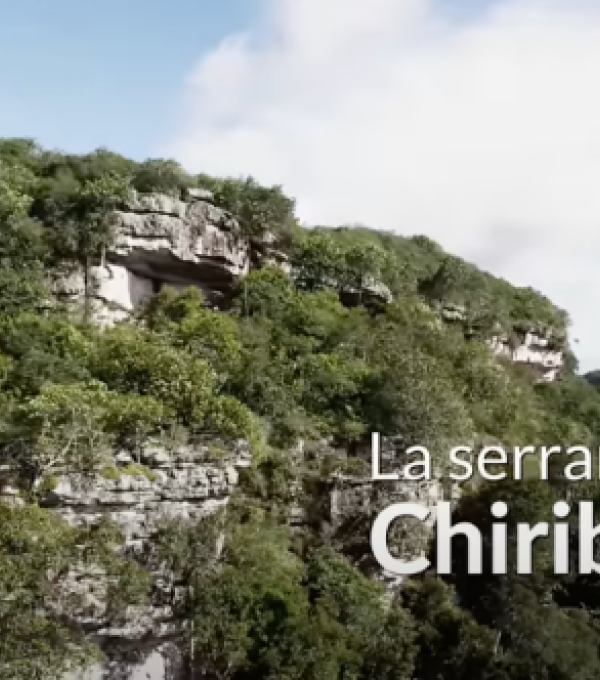 Serranía de Chiribiquete