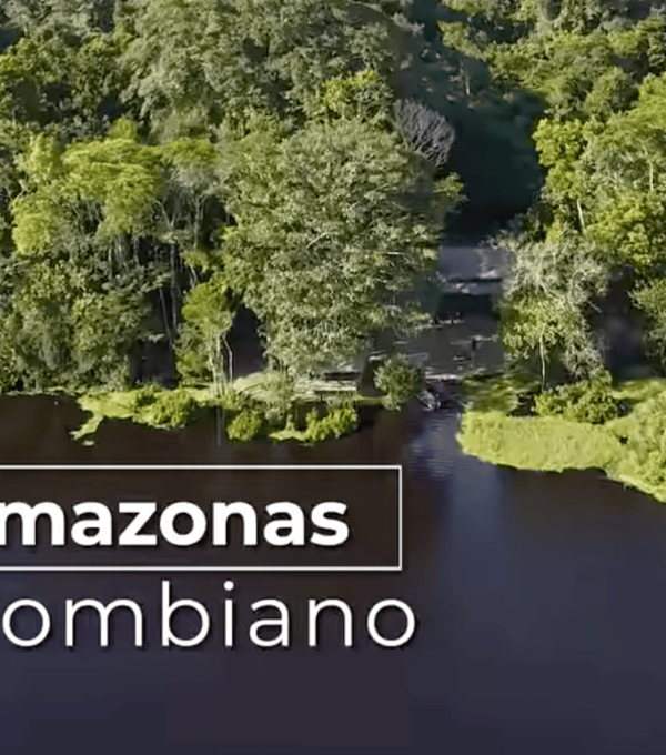 El Amazonas Colombiano